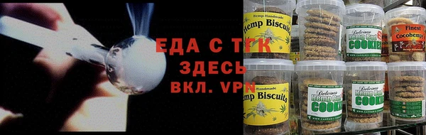 прущие грибы Абаза