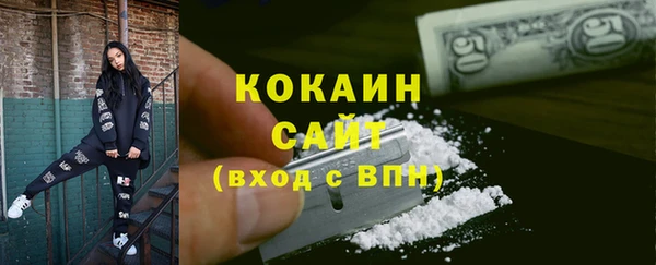 кокс Алексин