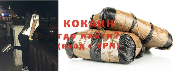 прущие грибы Абаза