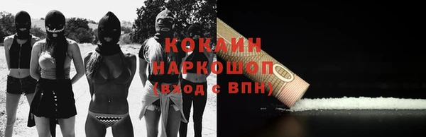 прущие грибы Абаза