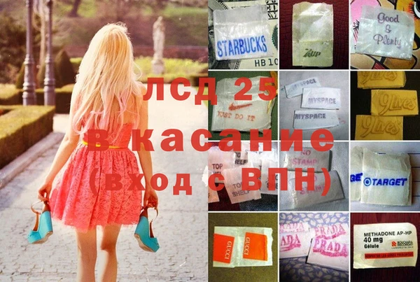 прущие грибы Абаза