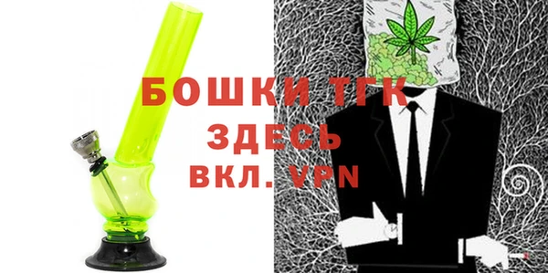 прущие грибы Абаза