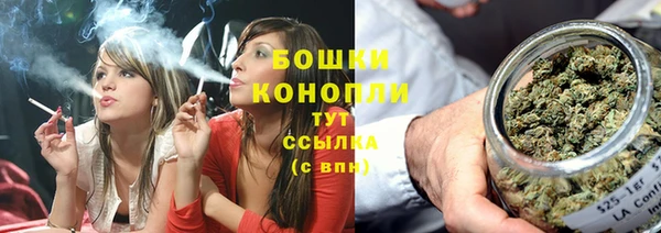 прущие грибы Абаза
